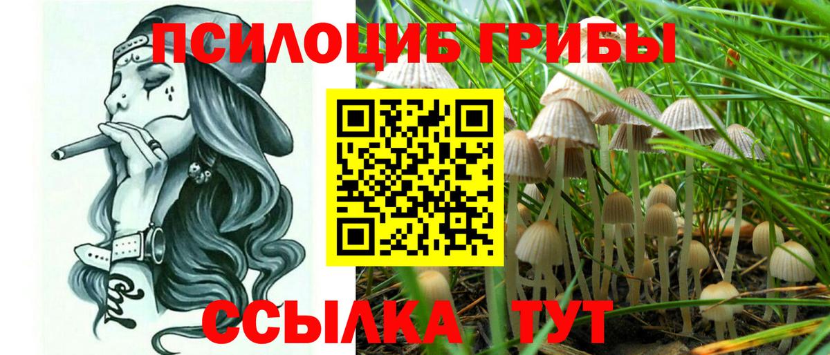 Галлюциногенные грибы ЛСД Лесозаводск