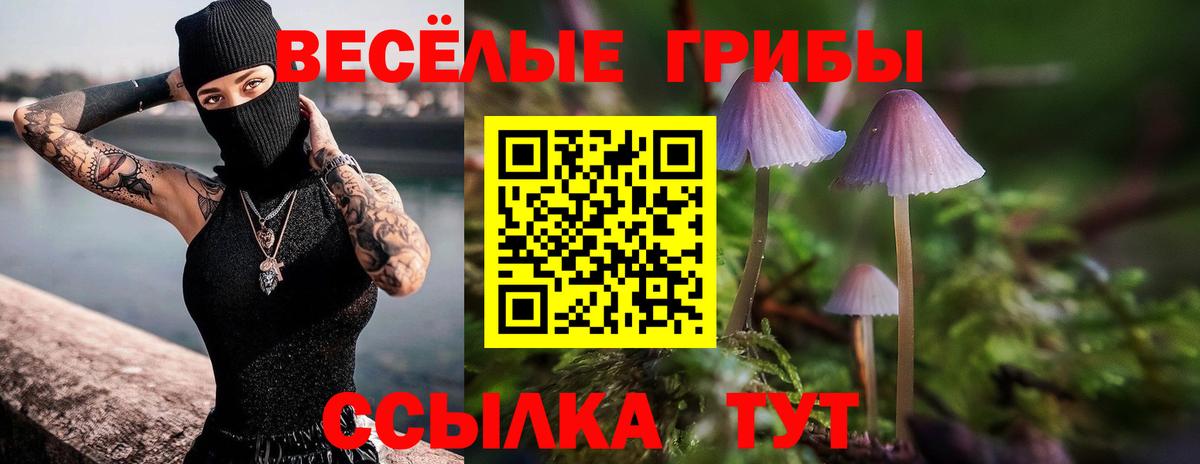 Псилоцибиновые грибы мухоморы  Вход с VPN  Лесозаводск 
