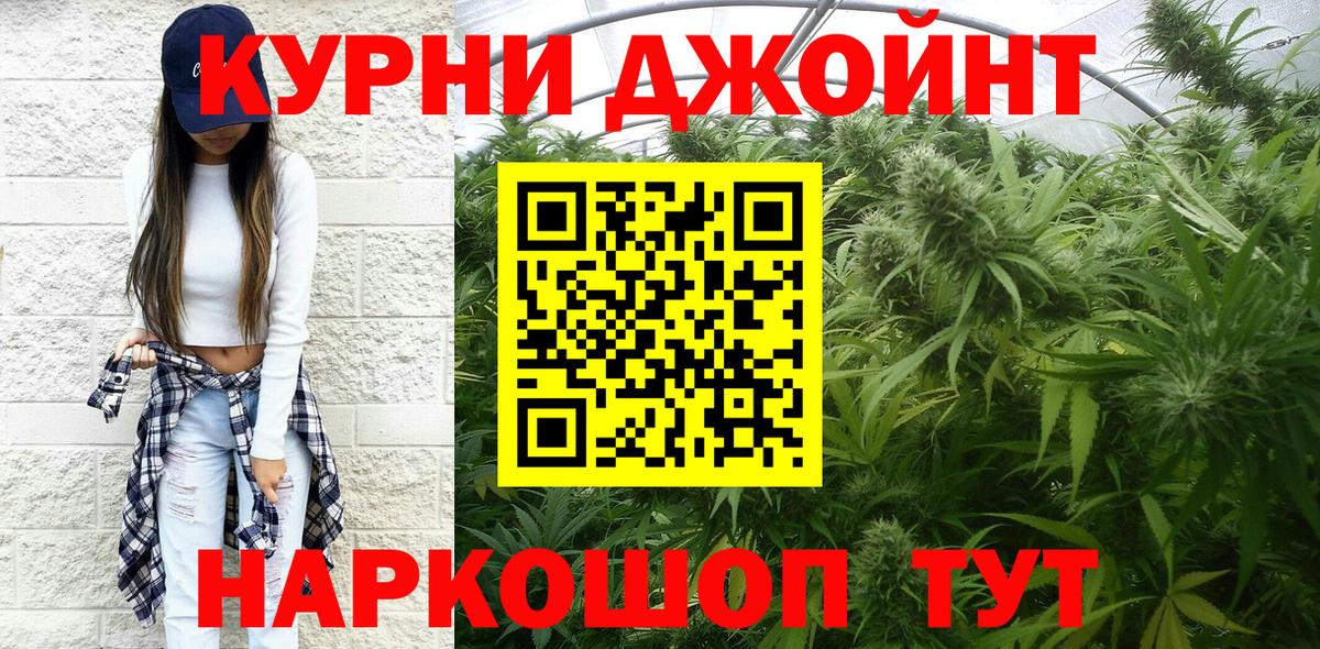 Бошки Шишки планчик Лесозаводск